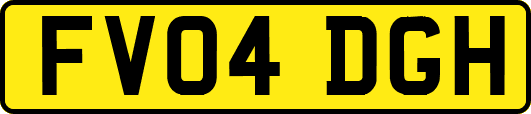 FV04DGH
