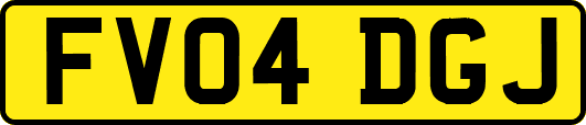 FV04DGJ