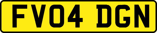 FV04DGN