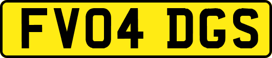 FV04DGS