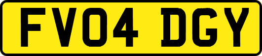 FV04DGY