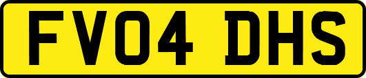 FV04DHS