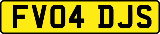 FV04DJS