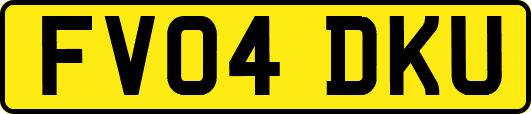 FV04DKU