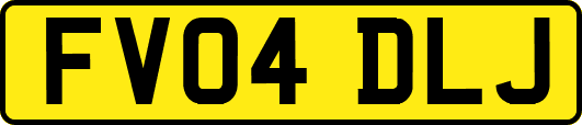 FV04DLJ