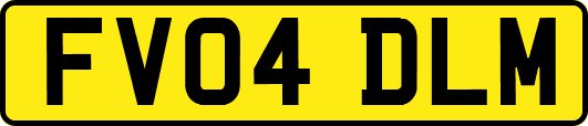 FV04DLM
