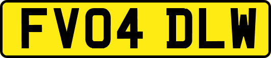 FV04DLW