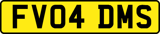 FV04DMS
