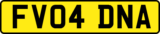 FV04DNA