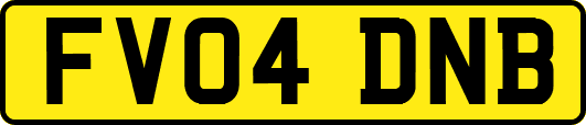 FV04DNB