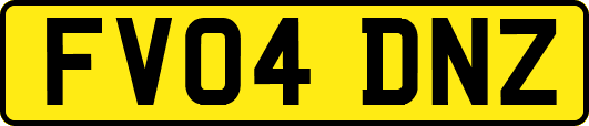 FV04DNZ