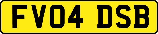 FV04DSB