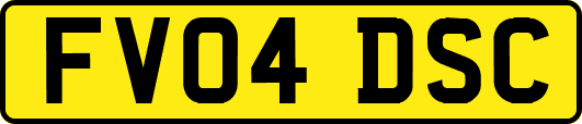 FV04DSC