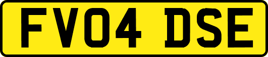 FV04DSE
