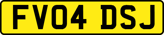 FV04DSJ