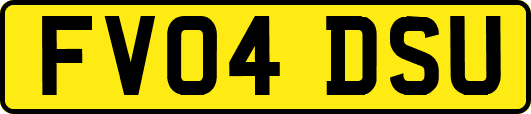 FV04DSU