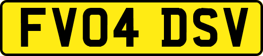 FV04DSV