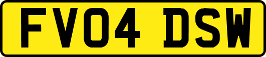 FV04DSW
