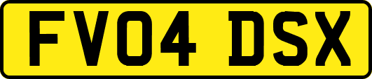 FV04DSX