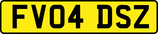FV04DSZ