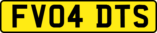 FV04DTS