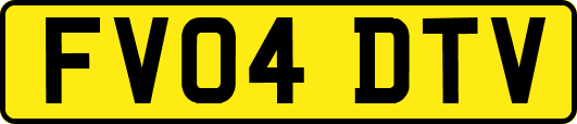 FV04DTV