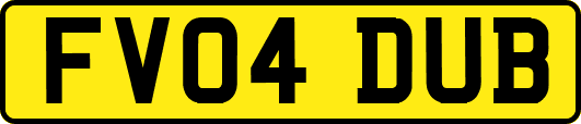 FV04DUB