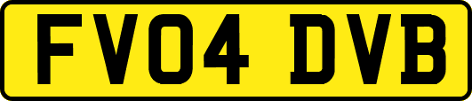 FV04DVB
