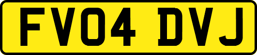 FV04DVJ