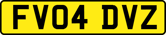 FV04DVZ