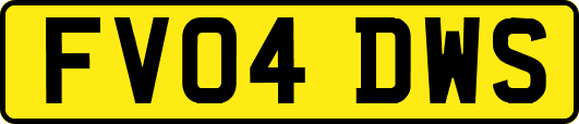 FV04DWS