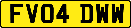 FV04DWW