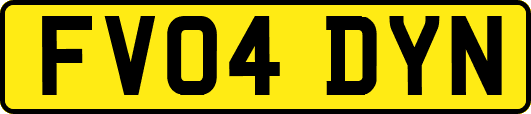 FV04DYN