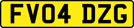 FV04DZG