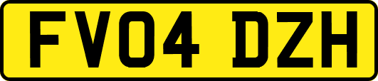 FV04DZH