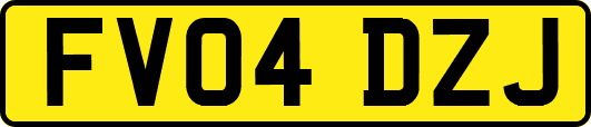 FV04DZJ