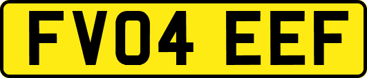 FV04EEF