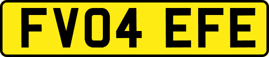 FV04EFE
