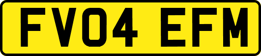 FV04EFM