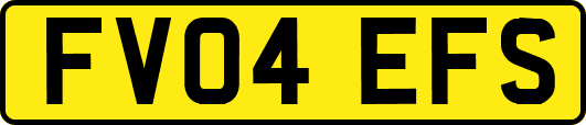 FV04EFS