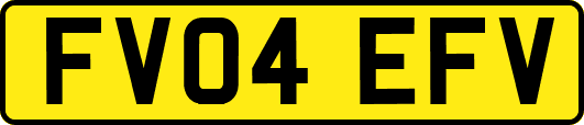 FV04EFV
