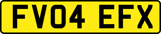 FV04EFX