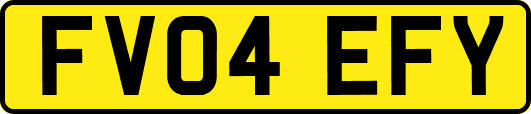 FV04EFY