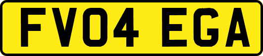 FV04EGA