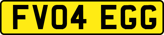 FV04EGG