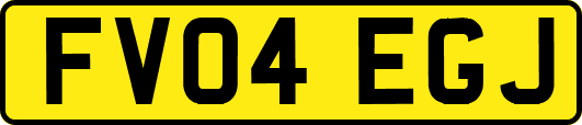 FV04EGJ