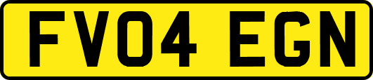 FV04EGN