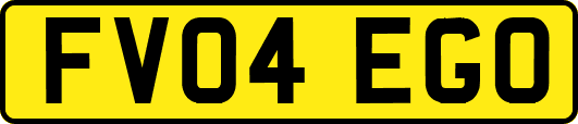 FV04EGO