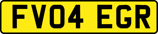 FV04EGR