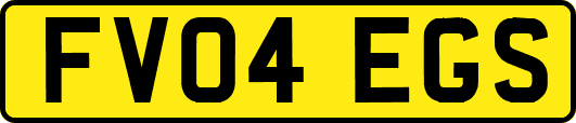 FV04EGS